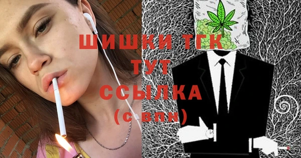 ешки Каменногорск