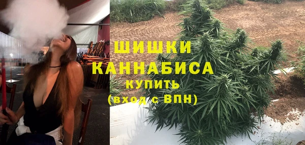 ешки Каменногорск