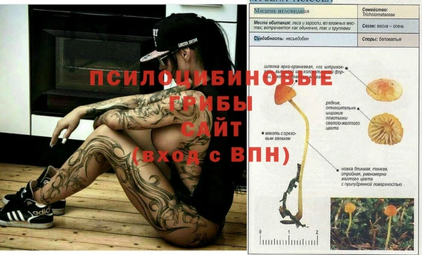 ешки Каменногорск