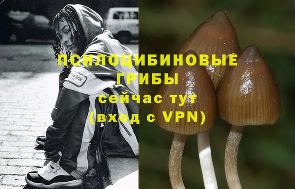 мдпв Каменск-Шахтинский
