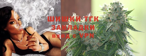 ешки Каменногорск
