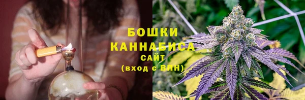 ешки Каменногорск