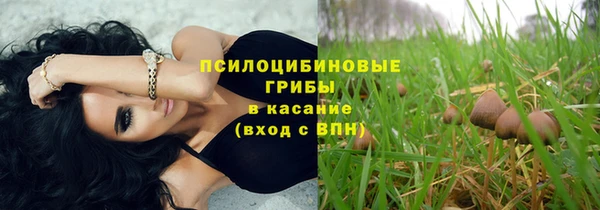 амфетамин Каменка