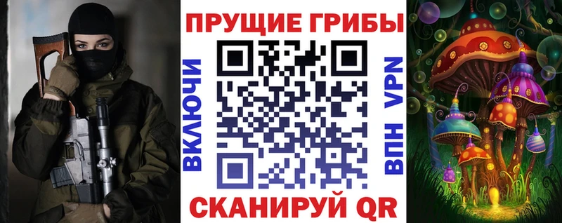 Купить где  Салаир  Псилоцибиновые грибы Cubensis 