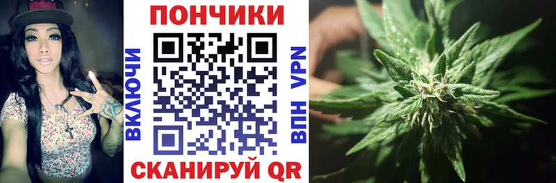 Купить где  Салаир  Бошки Шишки MAZAR 